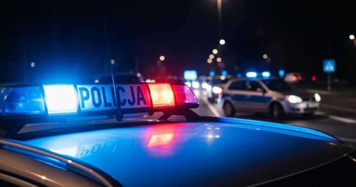 ka--da-niewyja--niona-sprawa-kryminalna-to-nie-tyl-auto-419